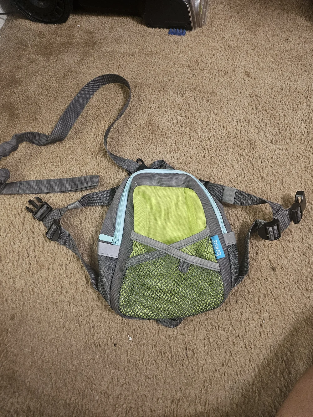 Blue Coiled Safety Leash with Padded Cuffs